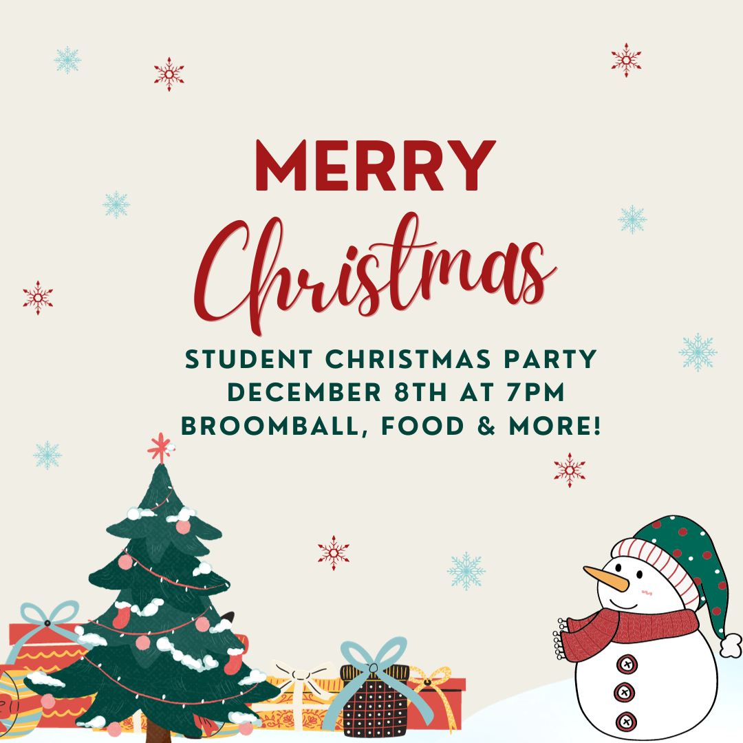 Students Christmas Party